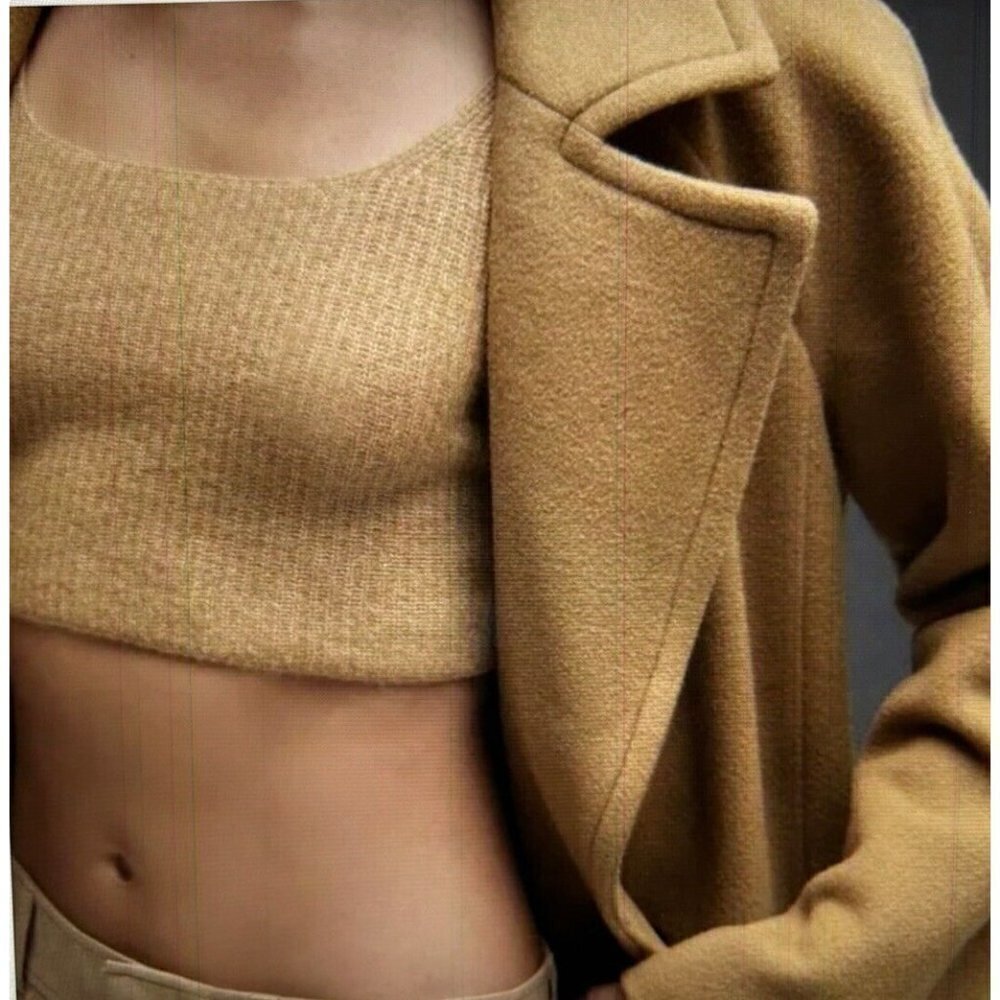 Everlane Wool Yak Blend Knit Cozy Stretch Crop Vest Tank Top in Camel Sz S